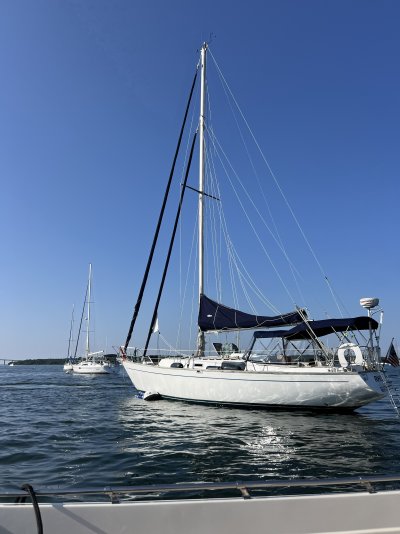 IMG_4637.jpg