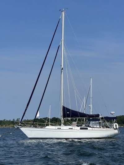 IMG_4414.jpg