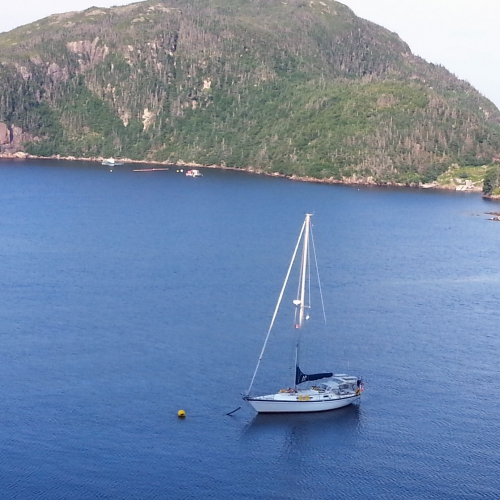 Mary T - Ken Kurlychek's M384, moored in Gaultois, Newfoundland