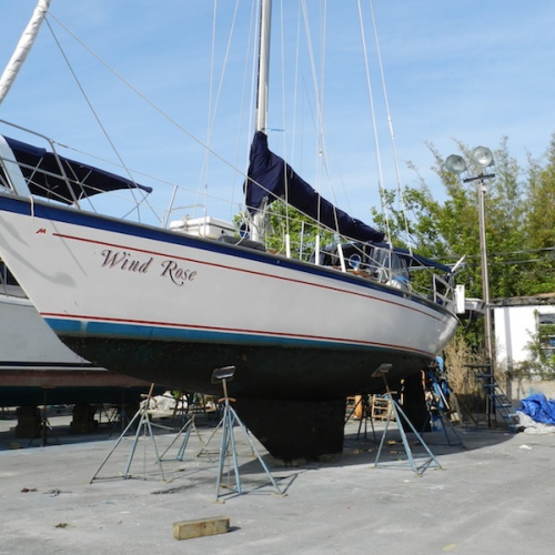 Wind Rose - Lee Nicholas' 1983 M384, Tarpon Springs, Florida