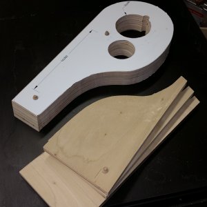 The real upper section of the pork chop